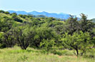 Salero Ranch Unit 5 Parcel 152 View to the S.