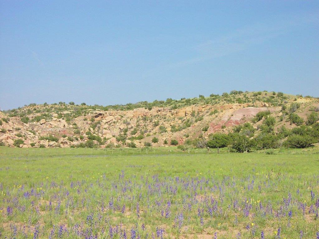 Sierra Highlands Ranch for Sale AZ