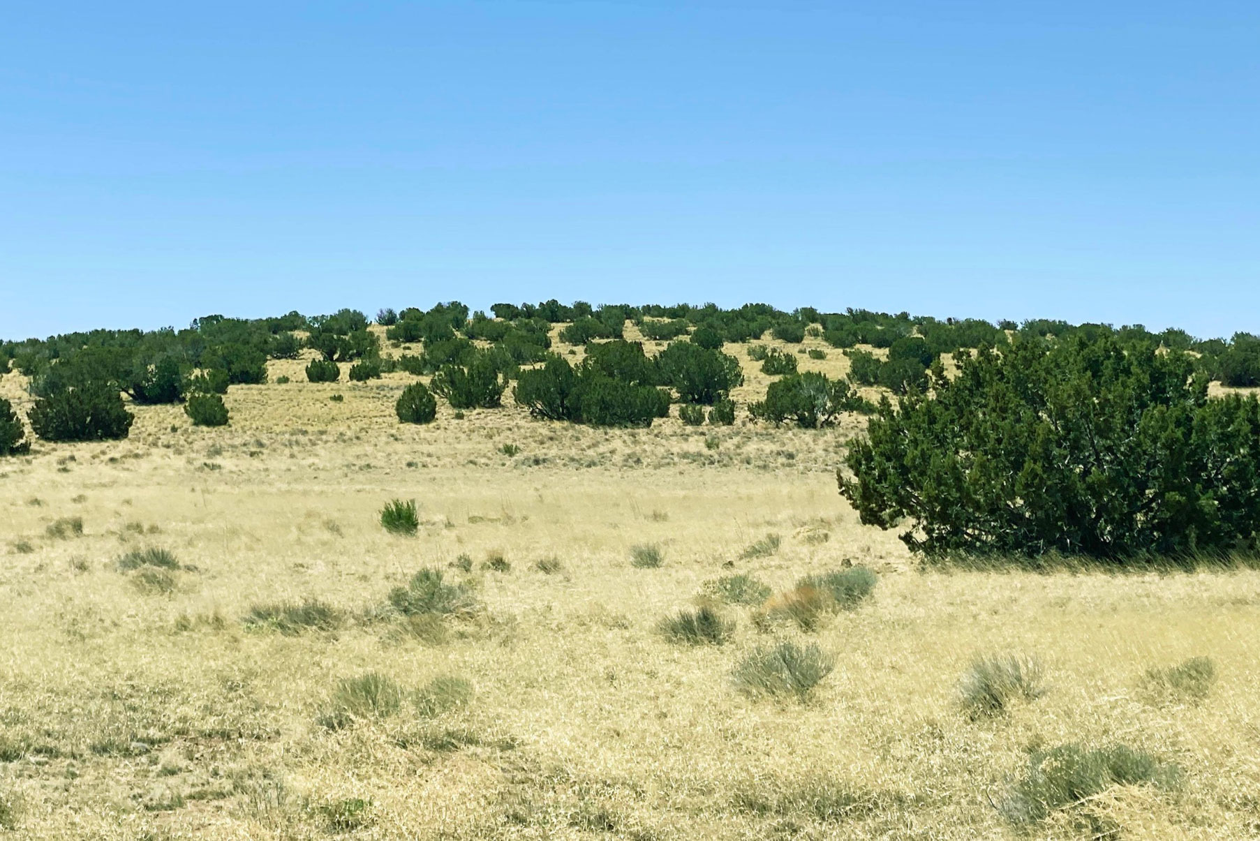 http://Ultimate%20Seclusion%2037%20Acre%20Northern%20AZ%20Ranch