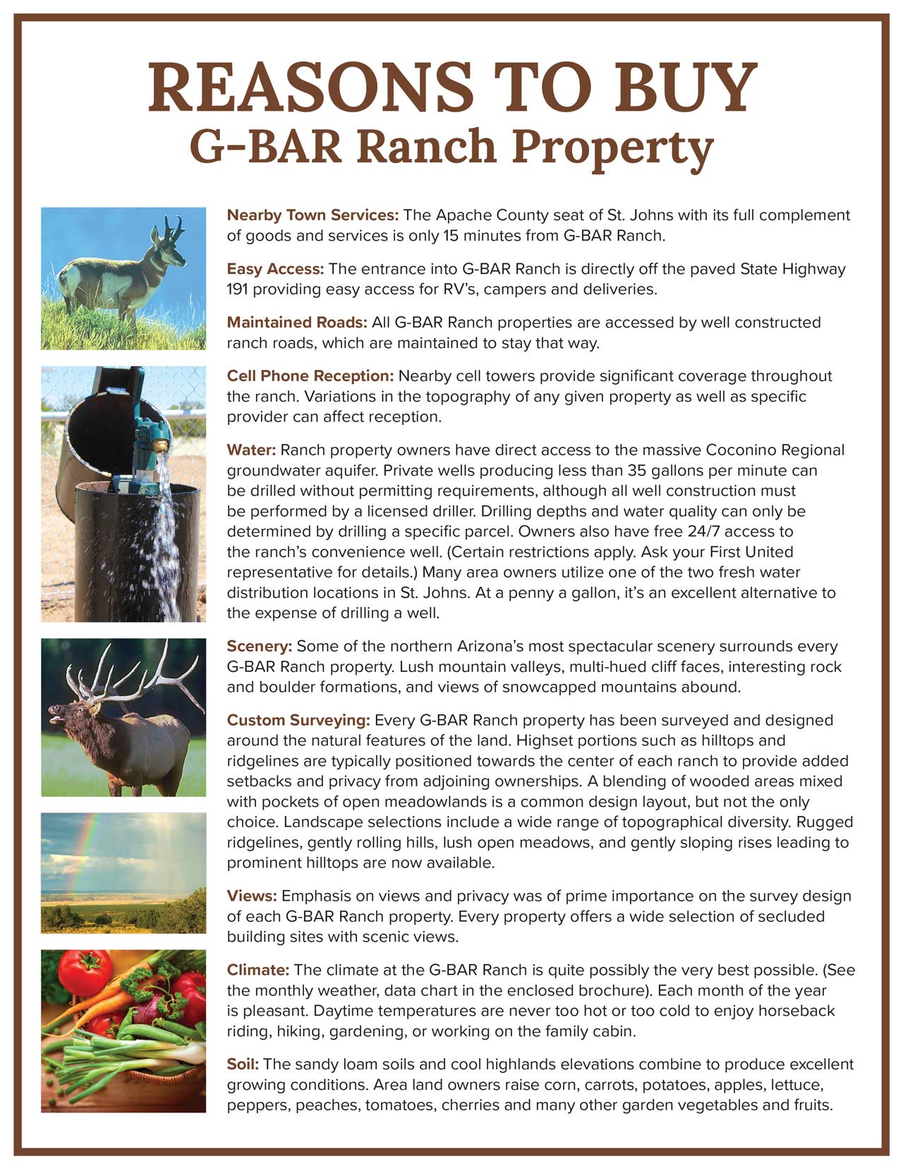 reasons to buy g-bar Reasons to Buy G-Bar
