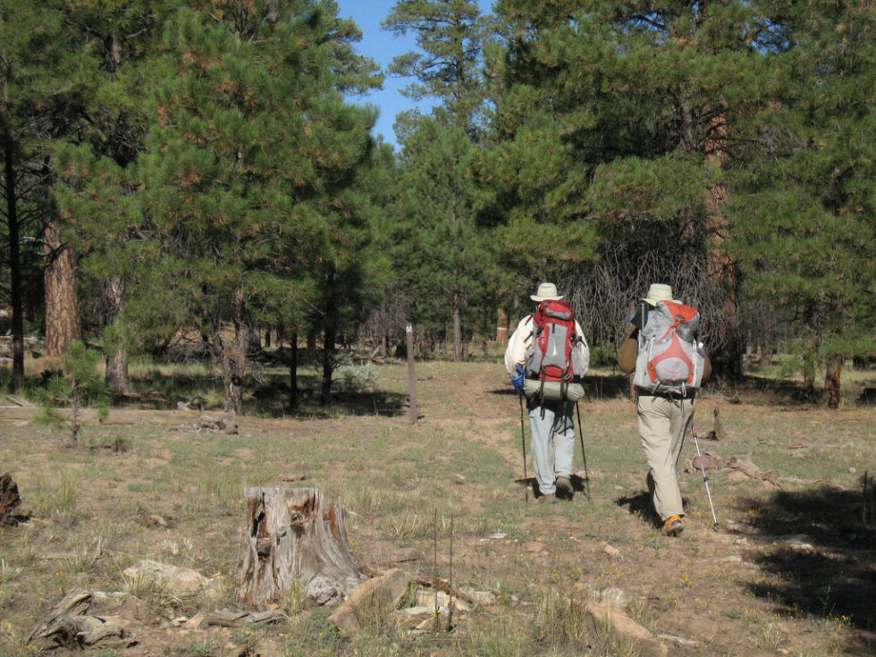 Happy Jack Ranch in Happy Jack Arizona
