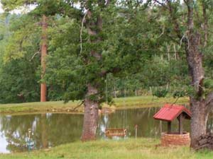 littlesprings_th